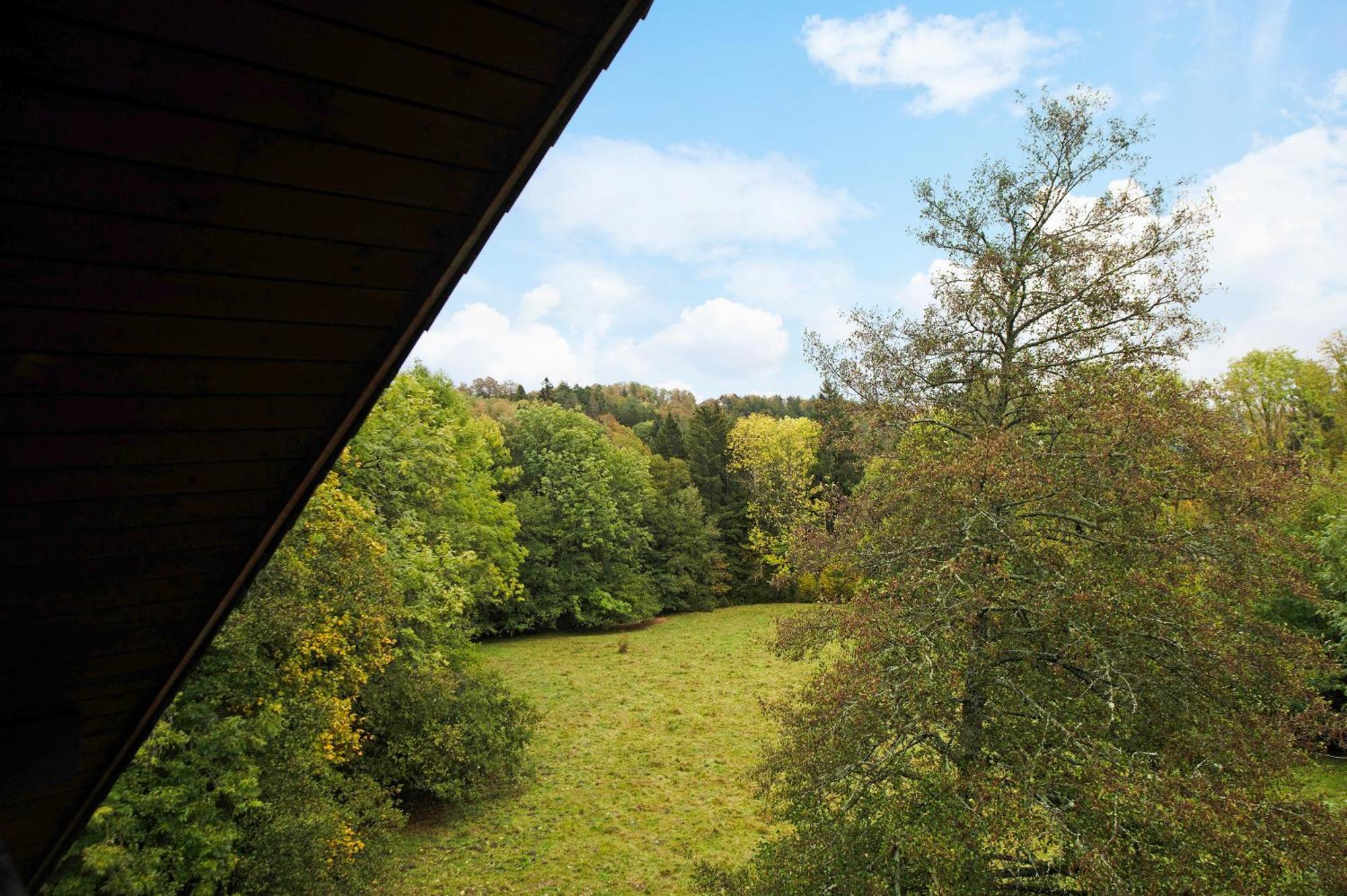 Landhaus Am Schmiedebach Wittenschwand Dış mekan fotoğraf