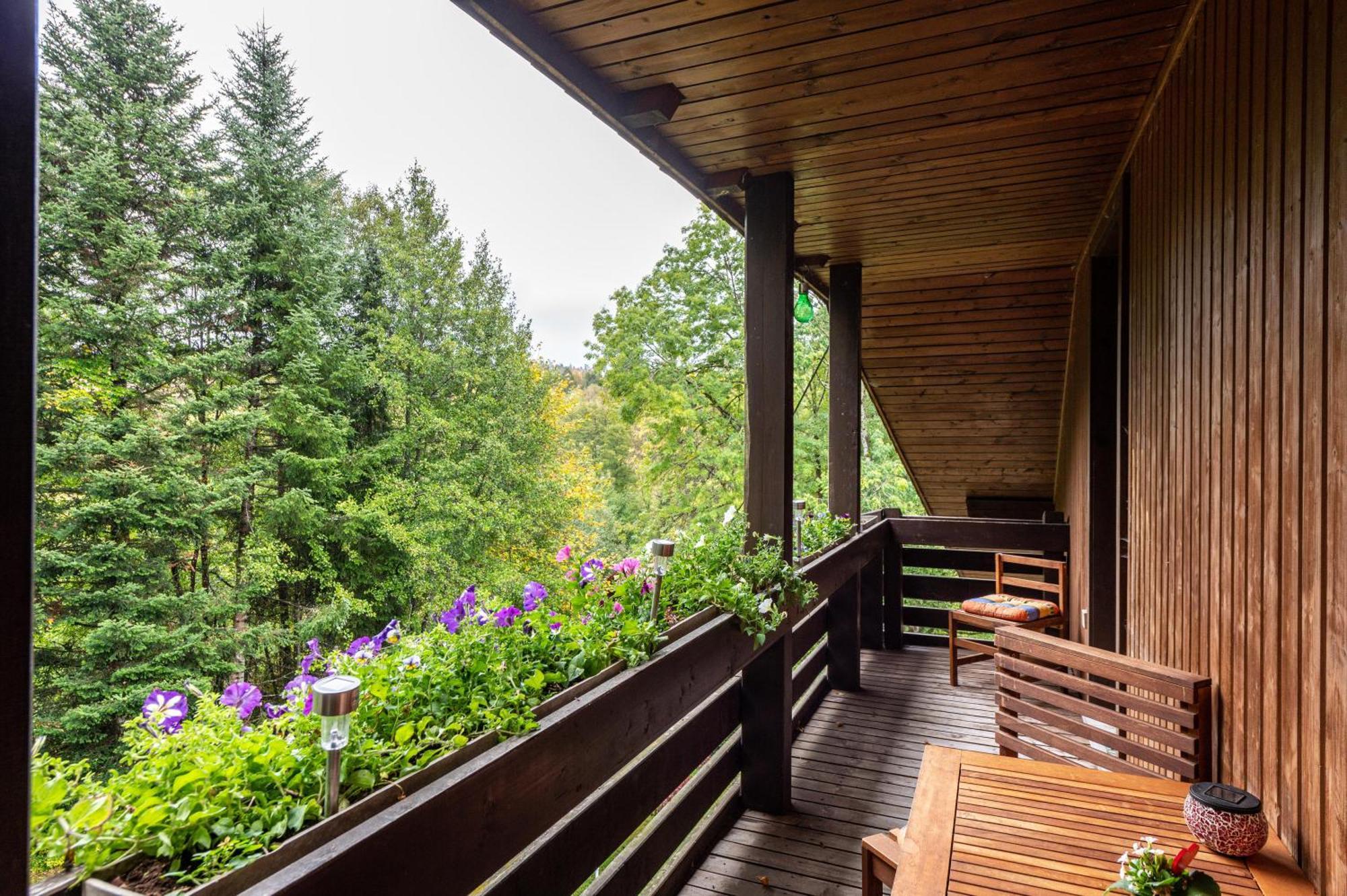Landhaus Am Schmiedebach Wittenschwand Dış mekan fotoğraf