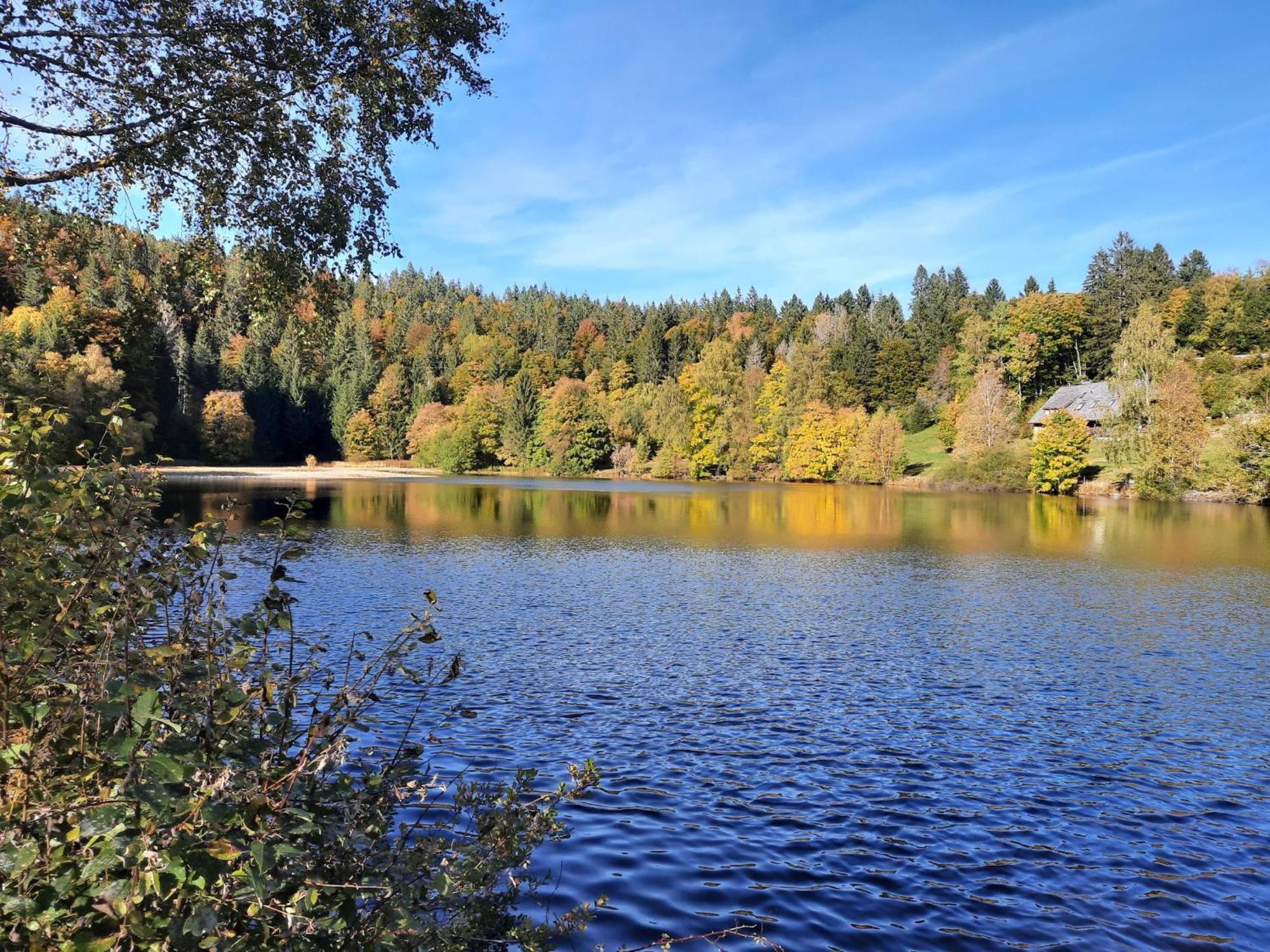 Landhaus Am Schmiedebach Wittenschwand Dış mekan fotoğraf